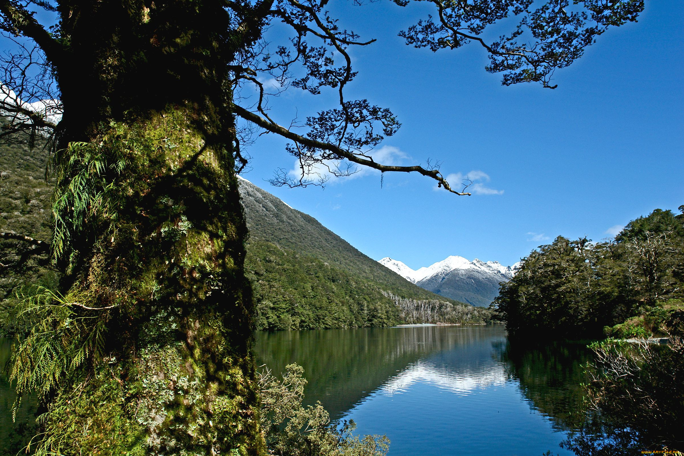 lake, fergus, , , , fiordland